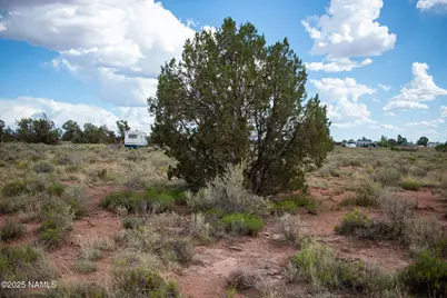 664 E Cimmaron Strip, Williams, AZ 86046 - Photo 3