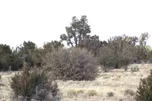 1255 W Half Hitch Rd, Williams, AZ 86046 - Photo 1