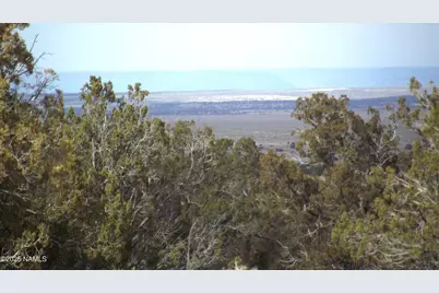 1255 W Half Hitch Road, Williams, AZ 86046 - Photo 3