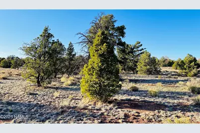 5390 N Windy Walk Way, Williams, AZ 86046 - Photo 15