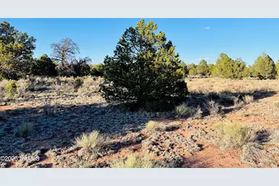 5390 N Windy Walk Way, Williams, AZ 86046 - Photo 9