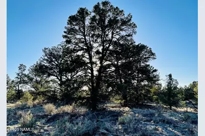 5390 N Windy Walk Way, Williams, AZ 86046 - Photo 13