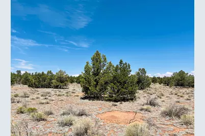 5390 N Windy Walk Way, Williams, AZ 86046 - Photo 11