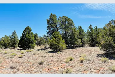 5390 N Windy Walk Way, Williams, AZ 86046 - Photo 3