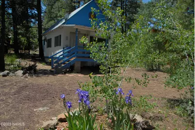 98 Aspen Drive, Mormon Lake, AZ 86038 - Photo 3