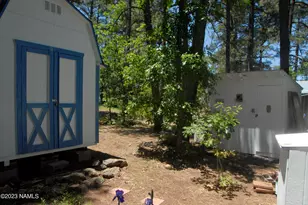 98 Aspen Dr, Mormon Lake, AZ 86038 - Photo 21