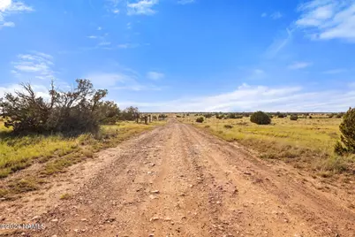 1770 Silver Bear Lane #A, Williams, AZ 86046 - Photo 3