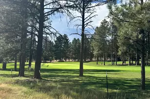 11 Anthem Dr, Williams, AZ 86046 - Photo 65