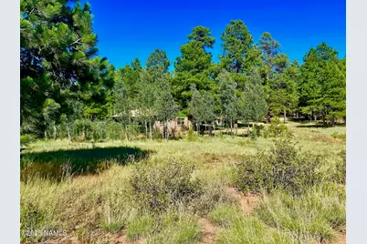 2283 Chisholm Trail, Flagstaff, AZ 86005 - Photo 39