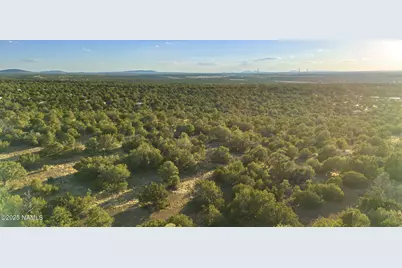 591 E Deerlick Trail, Williams, AZ 86046 - Photo 7