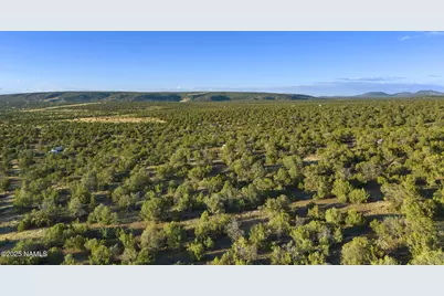 591 E Deerlick Trail, Williams, AZ 86046 - Photo 3