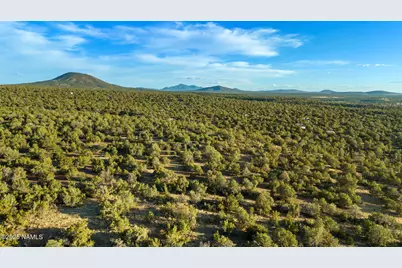 591 E Deerlick Trail, Williams, AZ 86046 - Photo 1