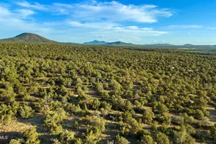 591 E Deerlick Trail, Williams, AZ 86046 - Photo 1