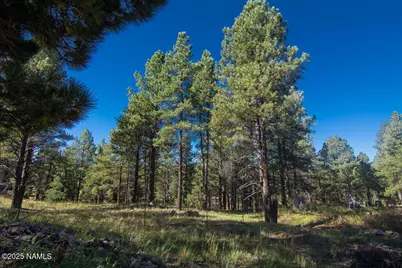 3148 Pioneer Trail, Flagstaff, AZ 86005 - Photo 105