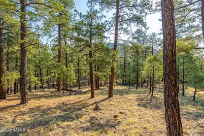 4195 N Subera Lane, Flagstaff, AZ 86001 - Photo 21