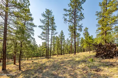 4195 N Subera Lane, Flagstaff, AZ 86001 - Photo 25