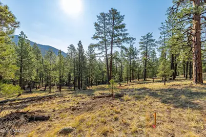 4195 N Subera Lane, Flagstaff, AZ 86001 - Photo 23