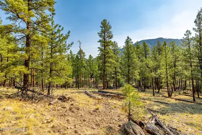 4195 N Subera Lane, Flagstaff, AZ 86001 - Photo 27