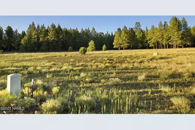 277 E Foxboro Ranch Road, Munds Park, AZ 86017 - Photo 7