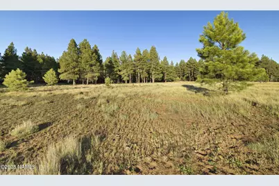 277 E Foxboro Ranch Road, Munds Park, AZ 86017 - Photo 17