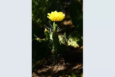 12899 Stockmens Road, Flagstaff, AZ 86004 - Photo 23