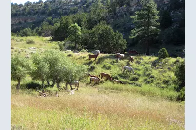 12899 Stockmens Road, Flagstaff, AZ 86004 - Photo 17