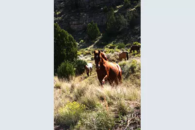 12899 Stockmens Road, Flagstaff, AZ 86004 - Photo 15