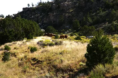 12899 Stockmens Road, Flagstaff, AZ 86004 - Photo 17