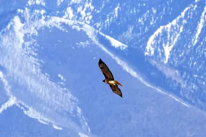 12899 Stockmens Road, Flagstaff, AZ 86004 - Photo 11