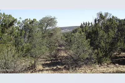 731 E Wampum Lane, Williams, AZ 86046 - Photo 5