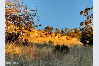 1843 E Sagebrush Road, Williams, AZ 86046 - Photo 31