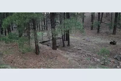 77 E Ski Run Road, Williams, AZ 86046 - Photo 9