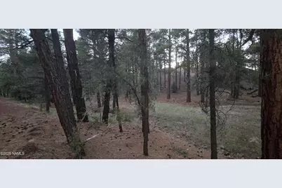 77 E Ski Run Road, Williams, AZ 86046 - Photo 7