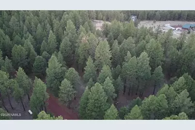 155 E Ski Run Road, Williams, AZ 86046 - Photo 9