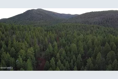 155 E Ski Run Road, Williams, AZ 86046 - Photo 11