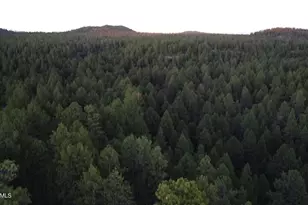 155 E Ski Run Rd, Williams, AZ 86046 - Photo 1