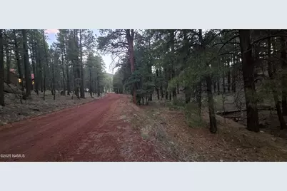 155 E Ski Run Road, Williams, AZ 86046 - Photo 7