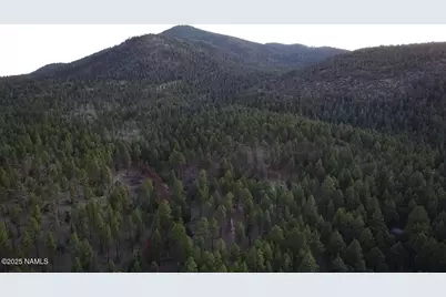 155 E Ski Run Road, Williams, AZ 86046 - Photo 15