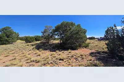 3810 E Wingfield Road, Williams, AZ 86046 - Photo 5