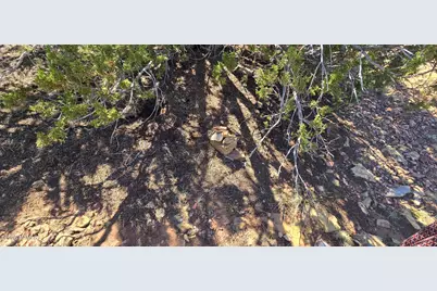 3810 E Wingfield Road, Williams, AZ 86046 - Photo 11