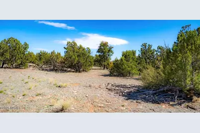 938 N Spruce Road, Williams, AZ 86046 - Photo 3