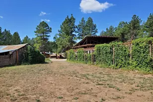 995 N Transwestern Pump Rd, Bellemont, AZ 86015 - Photo 19