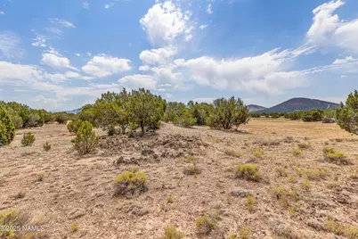 8359 N 8 Mile Boulevard, Williams, AZ 86046 - Photo 5