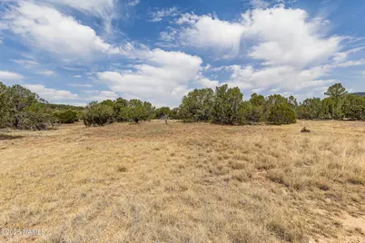 8359 N 8 Mile Boulevard, Williams, AZ 86046 - Photo 7