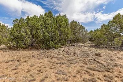 8359 N 8 Mile Boulevard, Williams, AZ 86046 - Photo 3