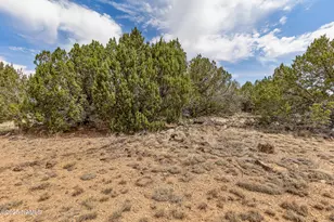 8359 North 8 Mile Boulevard, Williams, AZ 86046 - Photo 3