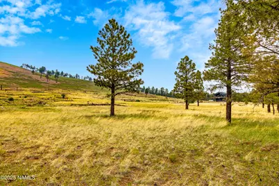 0 Snow Bowl Estates 2, Lot 7, Flagstaff, AZ 86001 - Photo 5