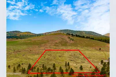 0 Snow Bowl Estates 2, Lot 7, Flagstaff, AZ 86001 - Photo 11