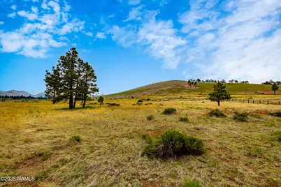 0 Snow Bowl Estates 2, Lot 7, Flagstaff, AZ 86001 - Photo 13