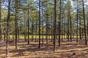4120 Lariat Loop, Flagstaff, AZ 86001 - Photo 57